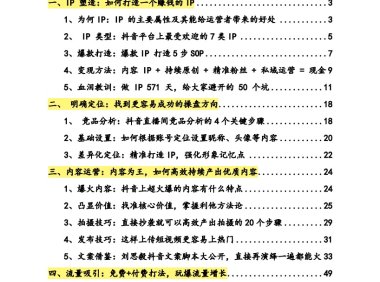 抖音 IP 创业指南