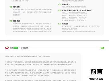 飞瓜数据-2024上半年抖音内容与电商数据报告
