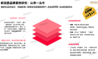 传统品牌 vs 新消费品牌社交营销差异化分析报告