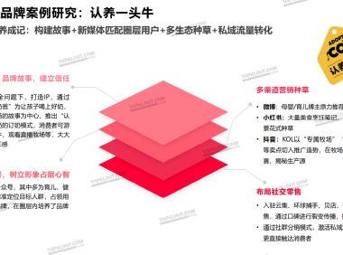 传统品牌 vs 新消费品牌社交营销差异化分析报告