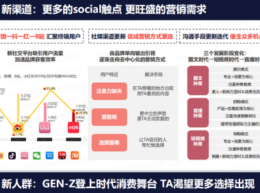 国货正当潮-中国新消费品牌全景营销启示录