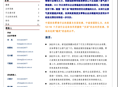 中国实体零售行业展望,2023年1月
