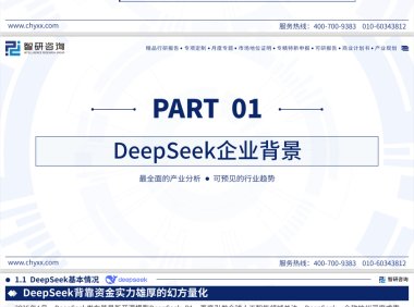 2025年deepseek技术全景解析—重塑全球AI生态的中国力量-智研咨询