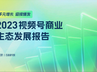 2023视频号商业生态发展报告