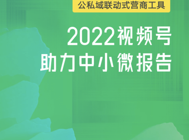 2022视频号助力中小微报告-百准研究院