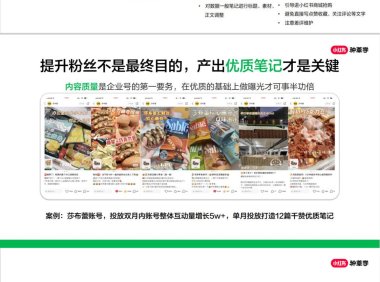 四步打造小红书优质专业号