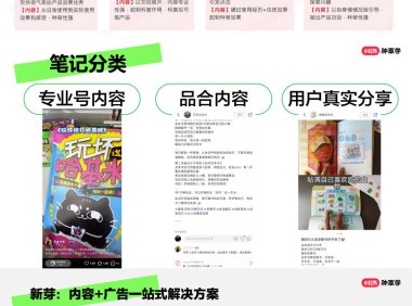 小红书合规运营