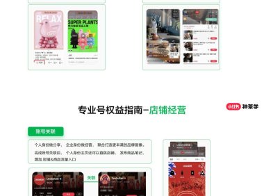 认证小红书专业号