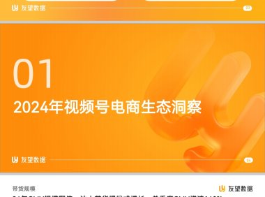 2024年视频号生态洞察报告-2025.3-友望数据