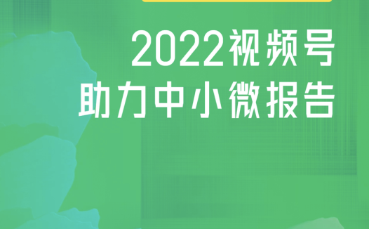 2022视频号助力中小微报告-百准研究院