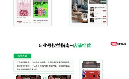 认证小红书专业号